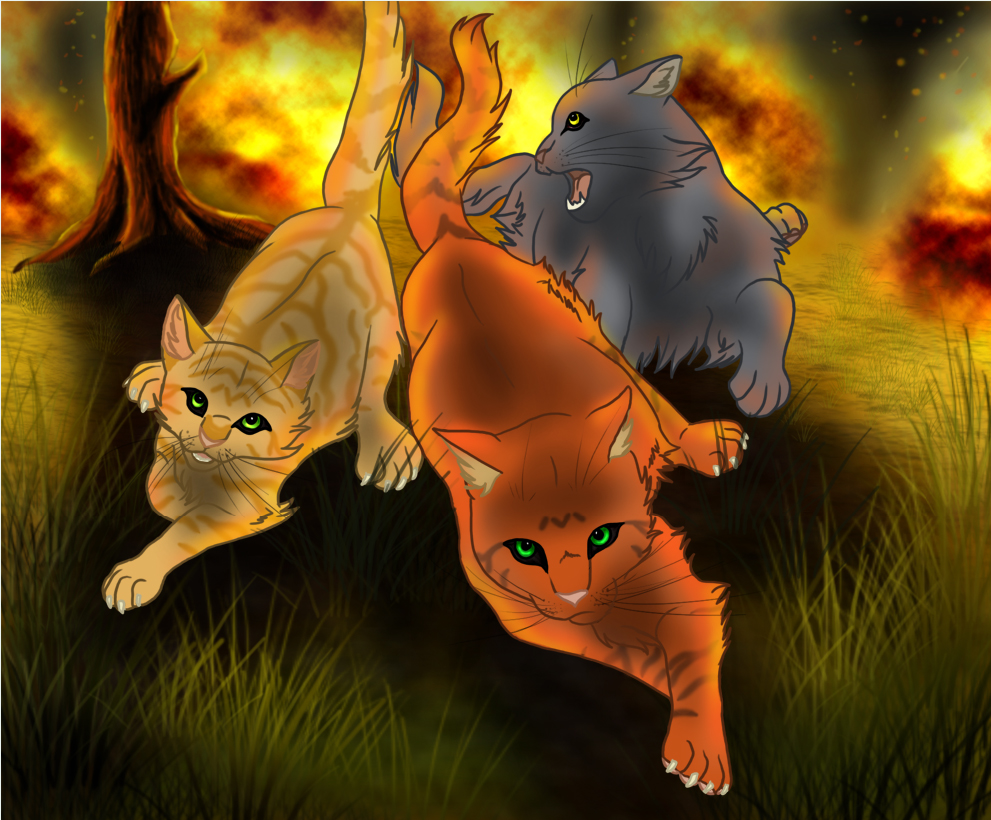 Коты Воители Огнезвёзд Звёздное племя