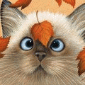 http://cat-warriors.narod.ru/avatars/cats/134.gif