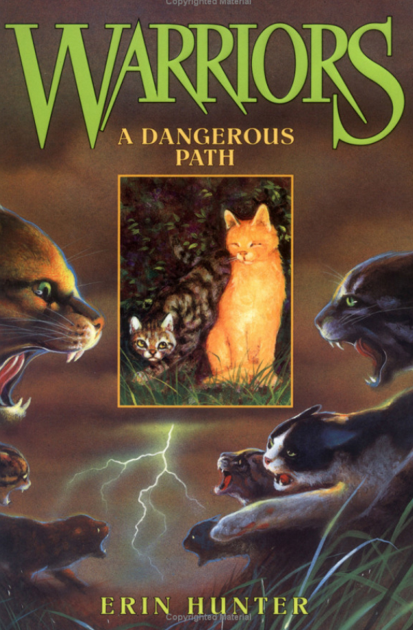 http://cat-warriors.narod.ru/books/dangerous_path.jpg